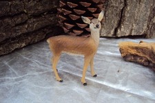 Antikes Masse Tier vor 1945